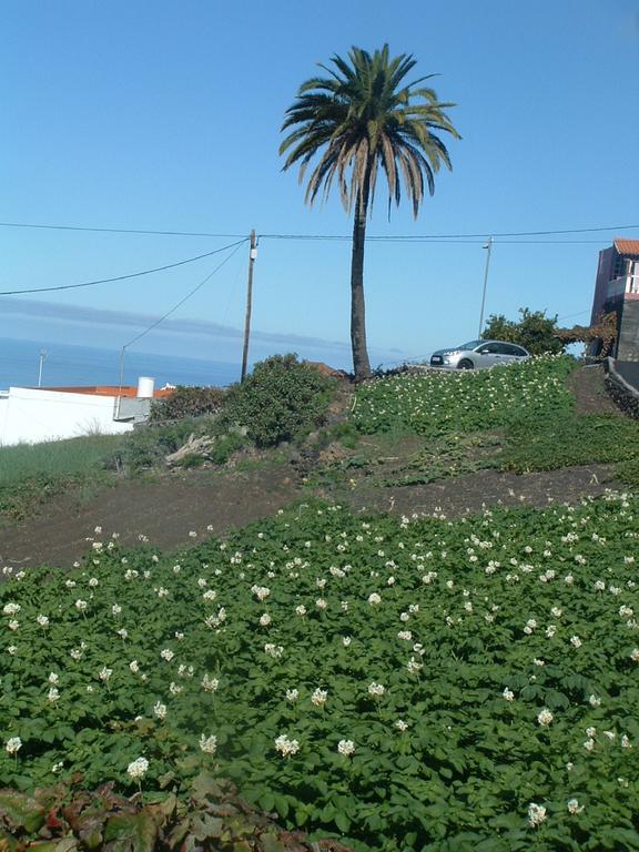 Casa Los Vinedos A Fuencaliente de la Palma Kültér fotó
